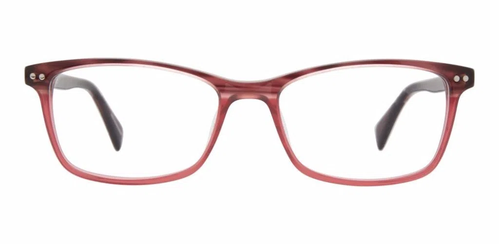 Adensco 237 Eyeglasses - view 6